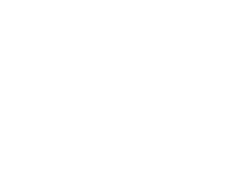 Autopflege Kunic
